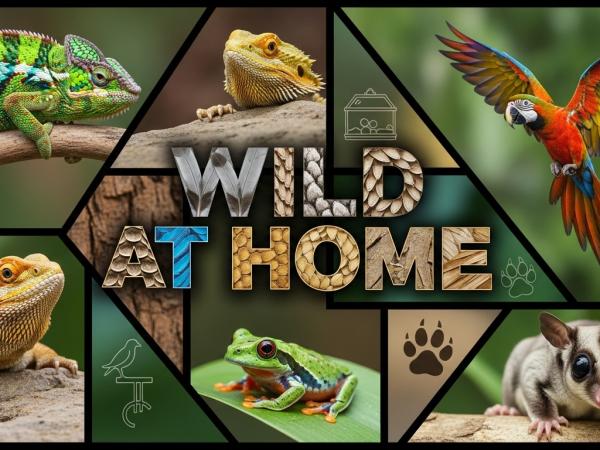Exotic Pet Collective