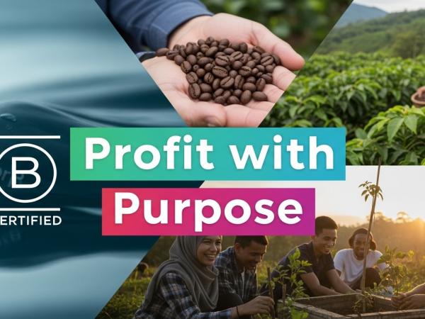 Impact Biz Builders
