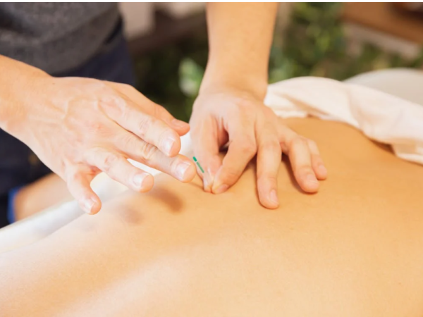 Traditional Chinese Medicine